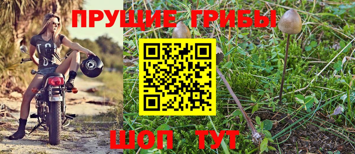 Псилоцибиновые грибы MAGIC MUSHROOMS  Вход с VPN  наркота  Кириши 