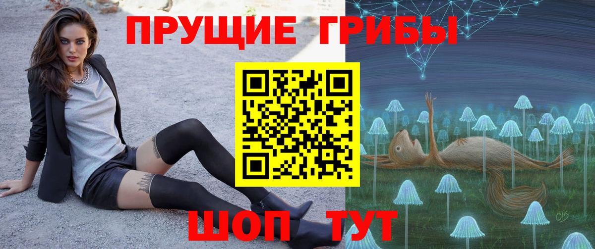 Псилоцибиновые грибы прущие грибы Кириши